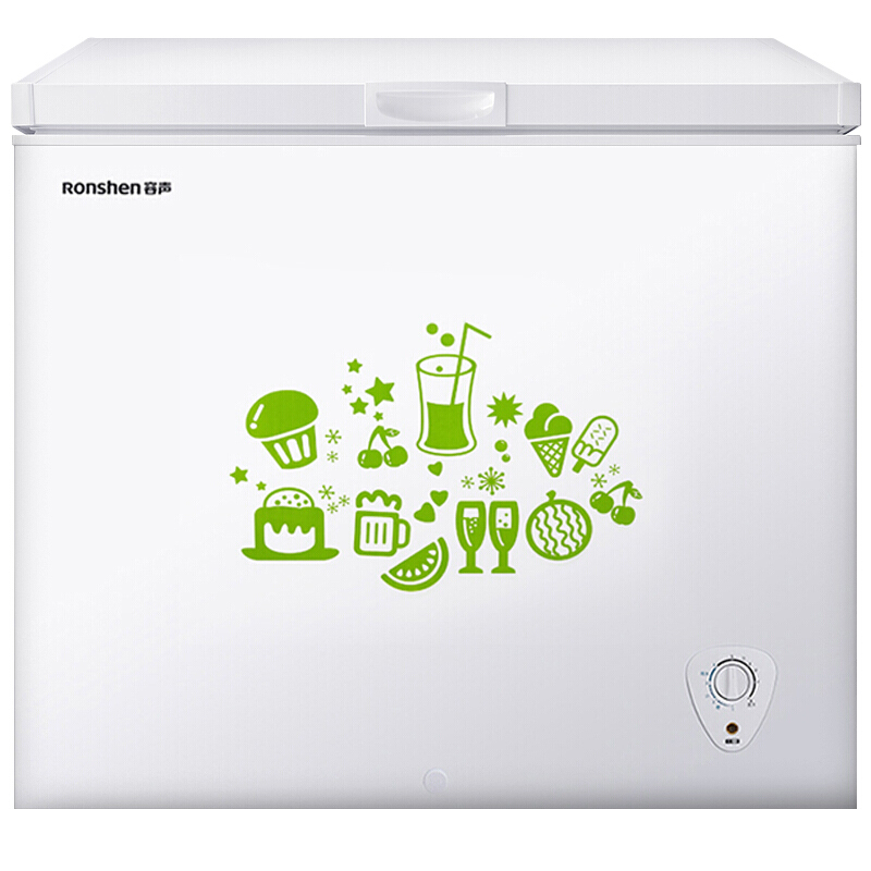 容声 用商用 冷藏冷冻转换冷柜 节能 大容量单温卧式冰箱 BDBC-205MB